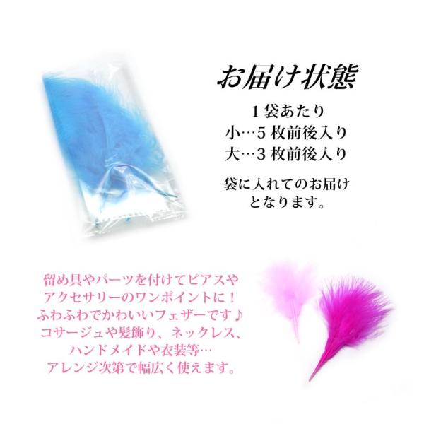 tora-shop_10002749_5