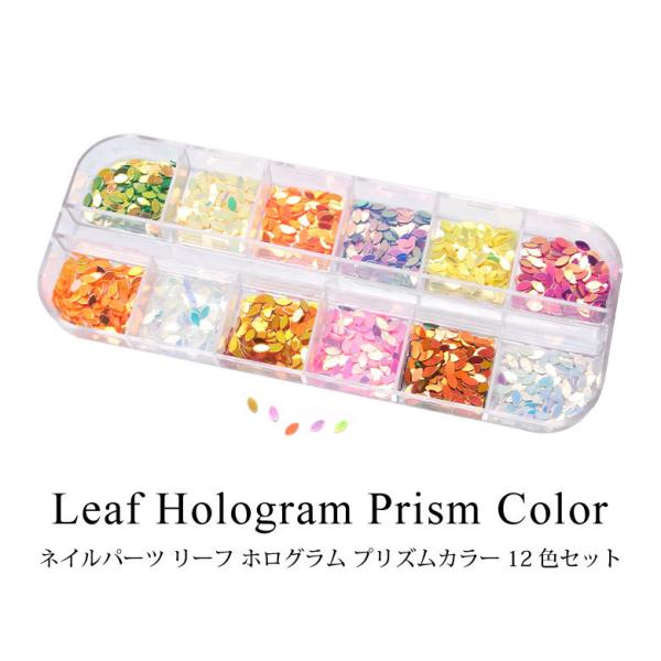 ネイル パーツ リーフ ホログラム プリズム カラー 12色セット