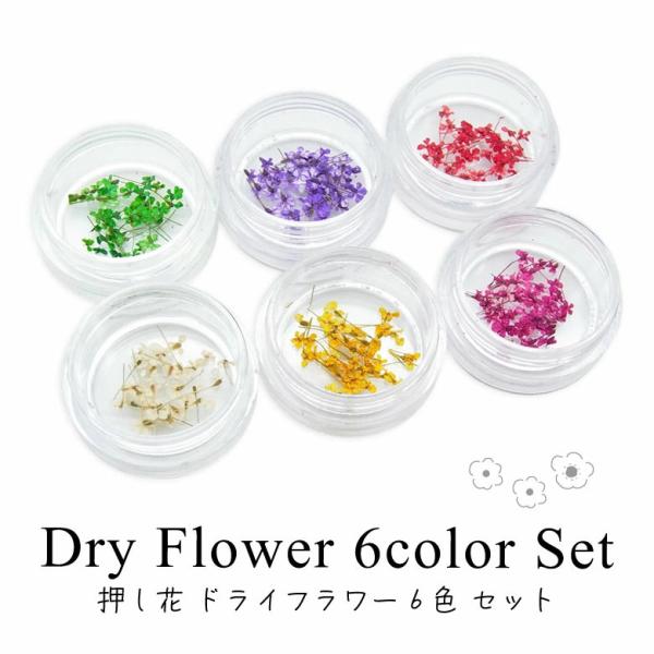 押し花 ドライフラワー 6色 セット