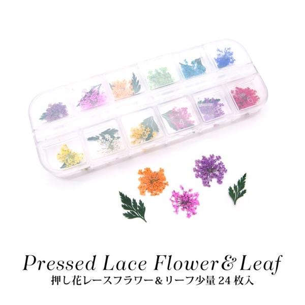 押し花 レースフラワー リーフ 少量24枚入り 1 N ココロネイル Kokoronail 通販 Yahoo ショッピング