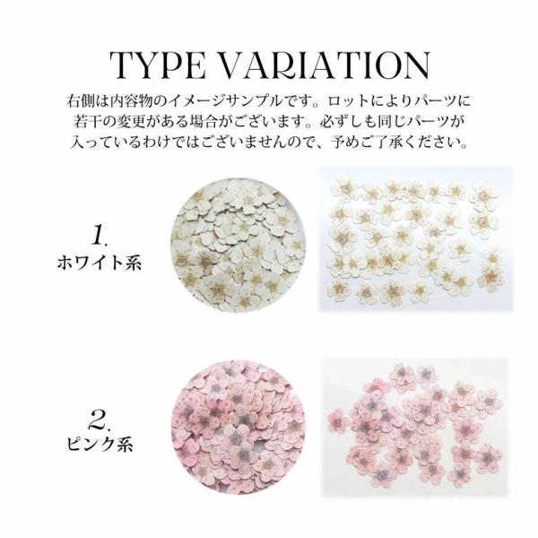 ネイル レジン パーツ 4 ペーパー プレート フレーク フラワー シリーズ コデマリ 1個入り :n00332:ココロネイル KokoroNail - 通販 - Yahoo!ショッピング ネイル レジン パーツ 4 ペーパー プレート フレーク フラワー シリーズ コデマリ 1個入り :n00332:ココロネイル KokoroNail - 通販 - Yahoo!ショッピング
