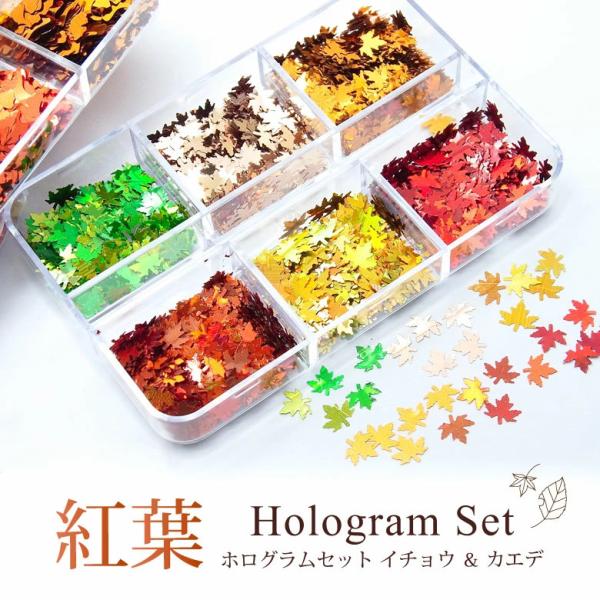 ネイル レジン ホログラム セット イチョウ ＆ カエデ