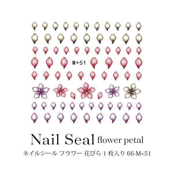 lCV[ t[ Ԃт 1 66-M+51