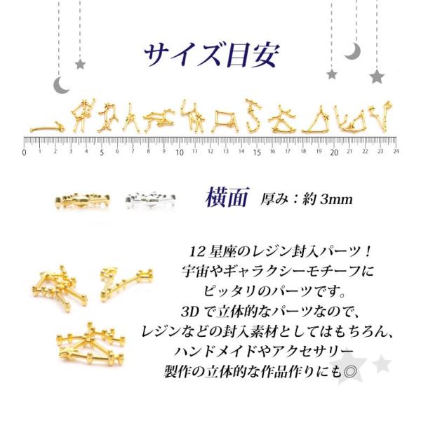 レジン パーツ 1 メタルパーツの12星座 各種1個入り : ココロネイル