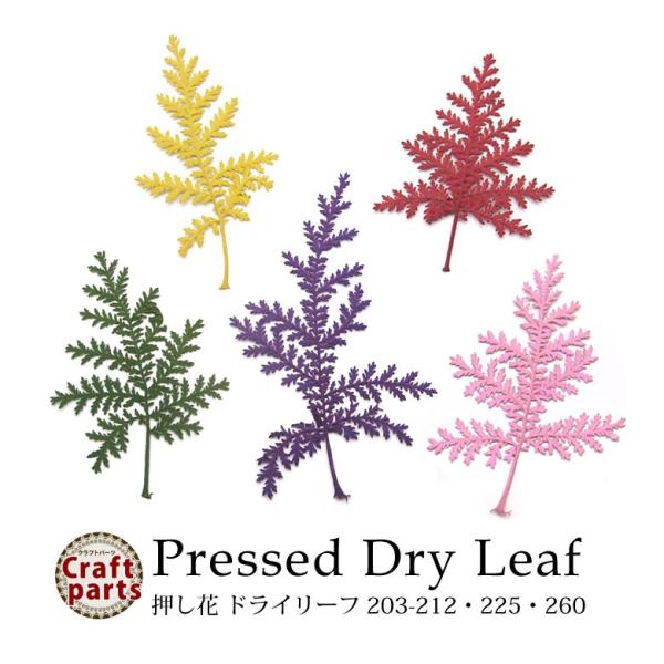 特徴  薄型で埋め込みやすいドライリーフ！使い方色々♪そのままキャンドルやハーバリウム、しおり等のハンドメイド素材として使ったり、ハサミ等で小さく切ってネイルやレジンの封入素材としても使えます。ピアスやイヤリングなどのアクセサリー製作にも◎...