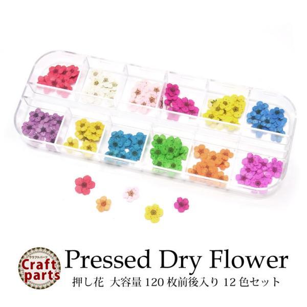 特徴大容量120枚入りフラワー！収納ケース入りの12色セット！各色10枚前後（120枚）入りです。レジンやネイルの封入素材として使ったり、コーティングしてアクセサリーにしても可愛い♪バリエーション 2.こでまり（5枚花）SET数量各色10枚...