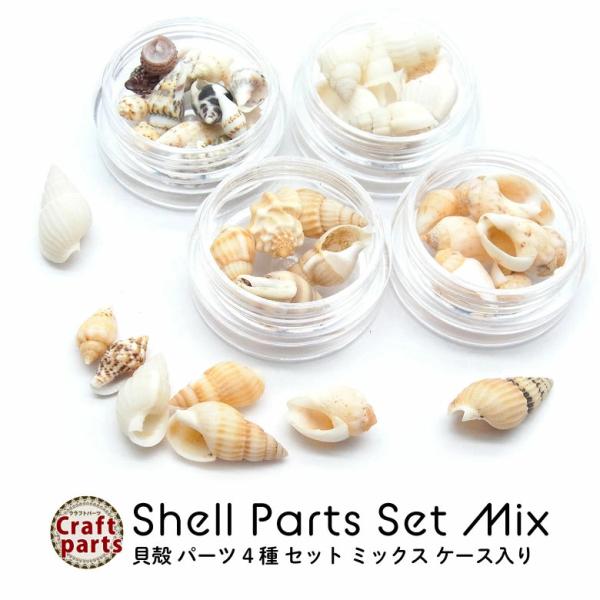貝殻 パーツ 4種 セット ミックス ケース入り : ココロネイル