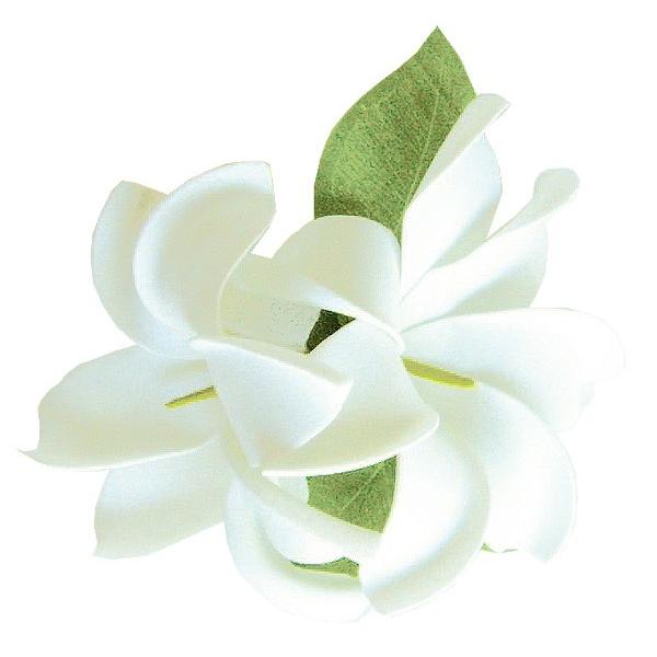 フラダンス 髪飾り ヘアクリップ コロヘダブルティアレボビーピック Cl 50 トーチジンジャー 通販 Yahoo ショッピング