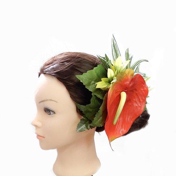 ＊オーシャンページ＊　ミニアンスリウム　ヘアピック 93bb74286f1d5cb1f0ccba03b3ad1d