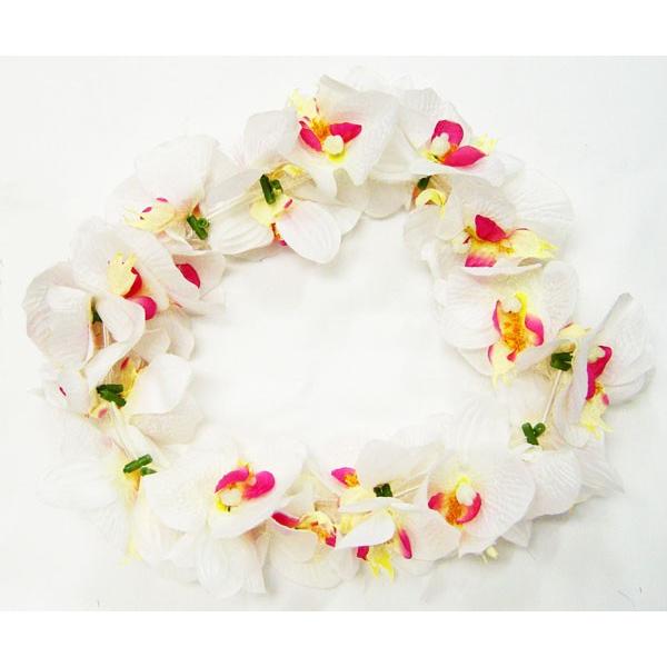 t_X@C@nN@@t@mvVXI[LbhNX^[wbhoh@