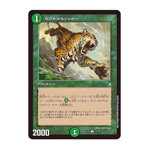 デュエルマスターズ  など73枚 Amazon.co.jp: デュエル・マスターズ TCG DMRP-13 十王篇 拡張パック第