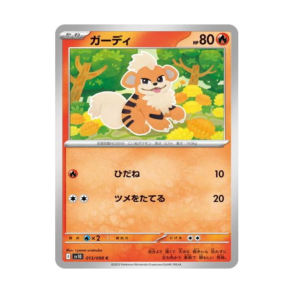 ガーディ C SV10 ロケット団の栄光 013/098 ポケモンカードゲーム ガーディ (C) ロケット団の栄光 013/098