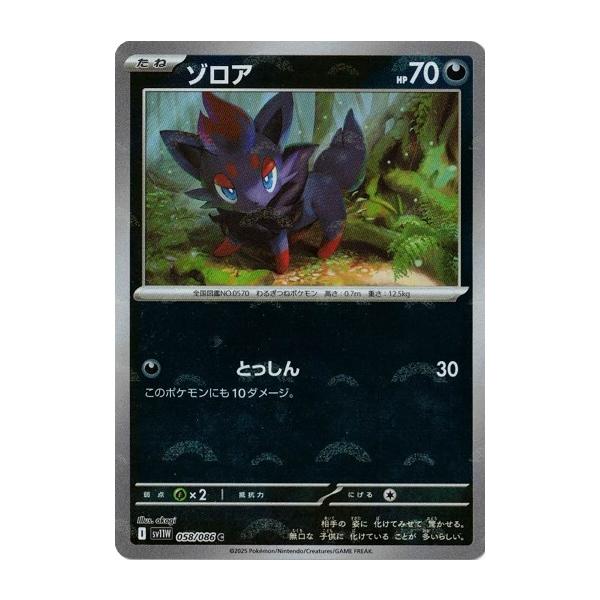 ポケモンカードゲーム ゾロア (モンスターボール) (C) ホワイト