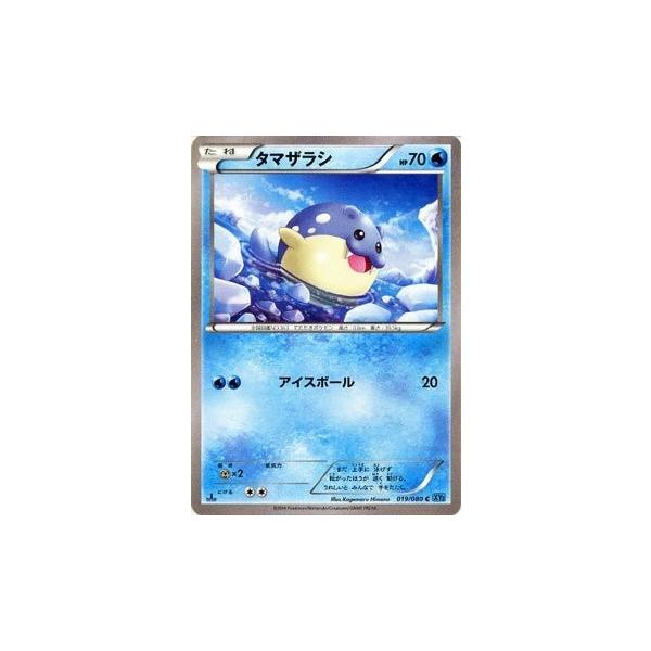 PSA10 タマザラシ C ワイルドブレイズ 019/080 ポケモンカード ポケモンカードゲーム XY 019/080 タマザラシ ワイルドブレイズ