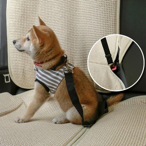 torekagu Ԑp[h V[gxgp[h