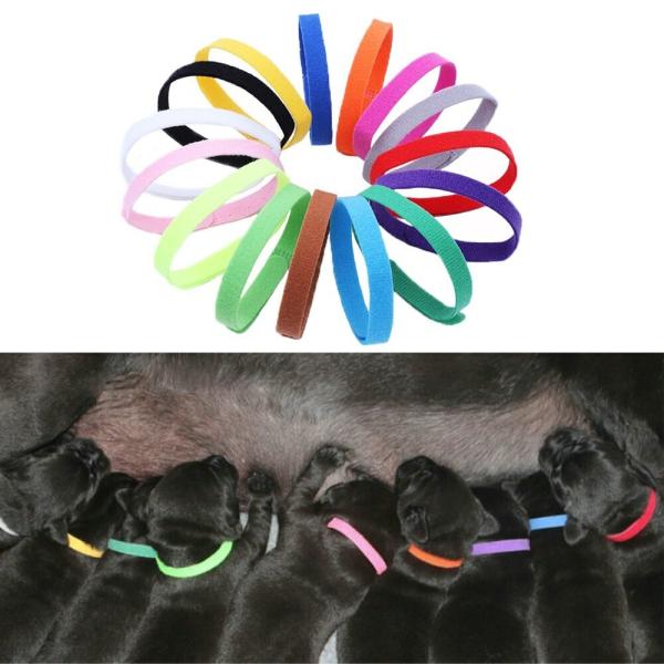 12{Zbg   ^ ^ L  킢y|Cgz