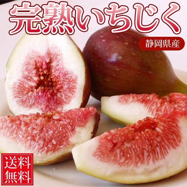 いちじく 1箱4パック入り 24個 送料無料 イチジク 無花果 Fk とれたて市場 通販 Yahoo ショッピング