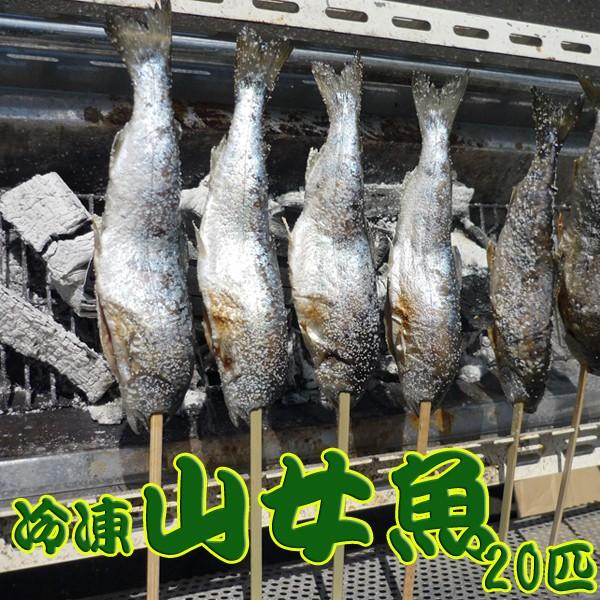 qバーベキュー アウトドアで楽しめる冷凍山女魚匹 Kk とれたて市場 通販 Yahoo ショッピング