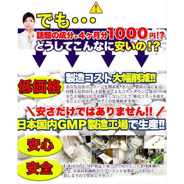 �u���[�x���[�����e�C���T�v�� ��4������ �T�v�� �������� �v���~�A�� ���� ���i�摜3