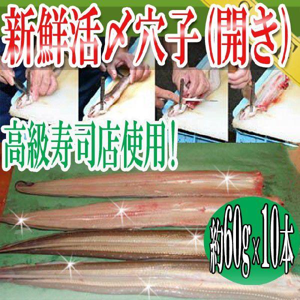 泳いでいる穴子をプロがその場で〆て出荷します。鮮度は抜群です。高級寿司屋様でも大人気！