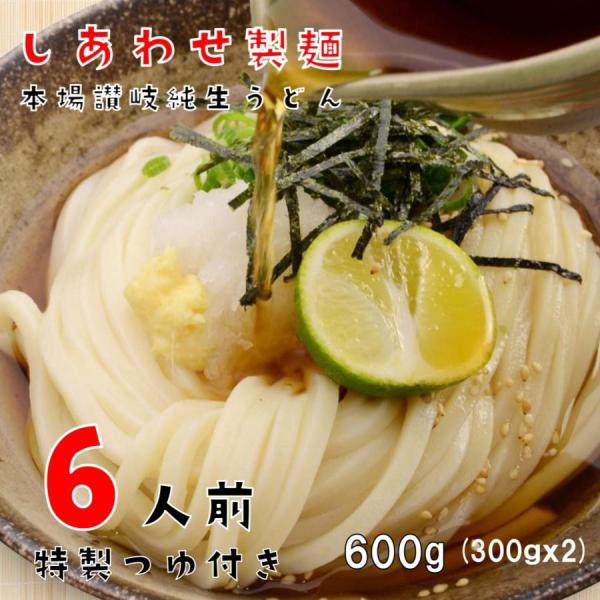 タイムセール!! うどん 讃岐うどん 6人前 720ｇ（めん300ｇ×2、つゆ20ml×6）つゆ付き 送料無料 本場讃岐純生 太麺 メール便 爆買