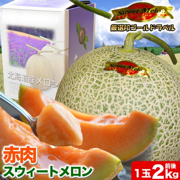 2026年収穫予約 特大 赤肉スウィートメロン 北海道産 2kg前後×1玉 めろん お届け日指定不可 2026年7月上旬〜中旬頃より順次発送 お中元 暑中見舞い ギフト お祝