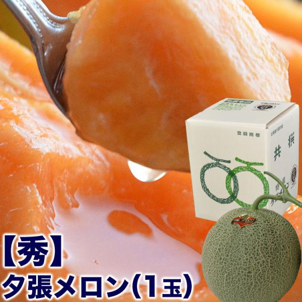 2026Nn\ [ Gi 1ʁ@1.3kg@I  kCY ߂ ԓ@͂ws@2026N7O㍠育ɔ