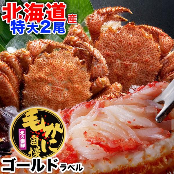 最安値に挑戦 特大 毛ガニ 北海道産 570g前後 姿 2尾 味噌 けがに 毛がに カニ 蟹 かに 脚 足 折脚たし脚入る場合あり 2点以上から注文数に応じオマケ付き