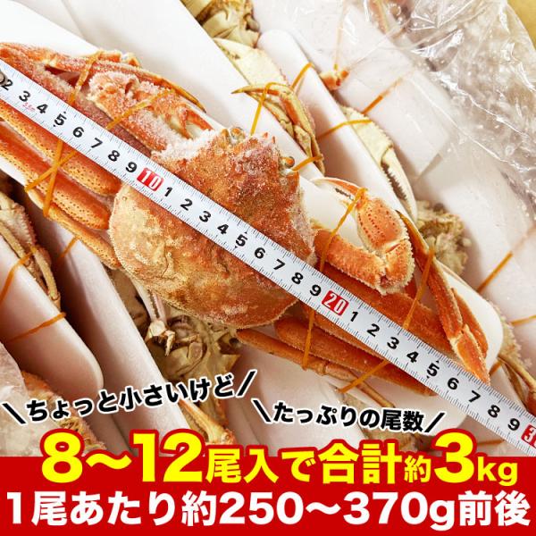 �̂��s�� �݌Ɍ��� ����l�l2�R�܂� �k�C���Y �I�I �Y���C�K�j �p 8�`12�����荇�v3kg�O�� 1���������250�`370g �J�j �I ���� ���l�s�� ���i�摜4