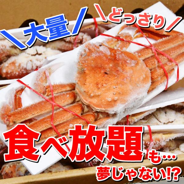 �̂��s�� �݌Ɍ��� ����l�l2�R�܂� �k�C���Y �I�I �Y���C�K�j �p 6�`7�����荇�v2kg�O�� 1���������280�`330g �J�j �I ���� ���l�s�� ���i�摜5