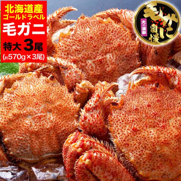 在庫限り最安値に挑戦 特大 毛ガニ 570g 前後×3尾 北海道産 姿 味噌 けがに 毛がに カニ 蟹 かに 折脚たし脚入る場合あり 2点以上から注文数に応じオマケ付き
