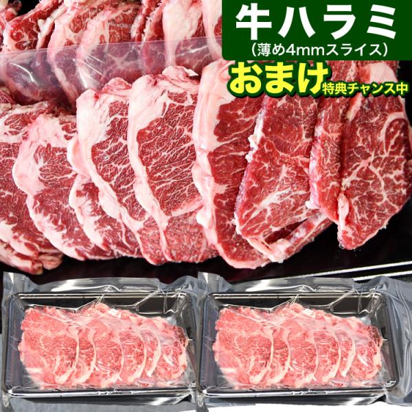 牛ハラミ サガリ 4mm 薄切 スライス 600g 300g×2袋 牛肉 焼肉 約半分取り出せるビニール仕切り仕様 多少切れ端入 多少色くすみあり 2点以上からオマケ付き