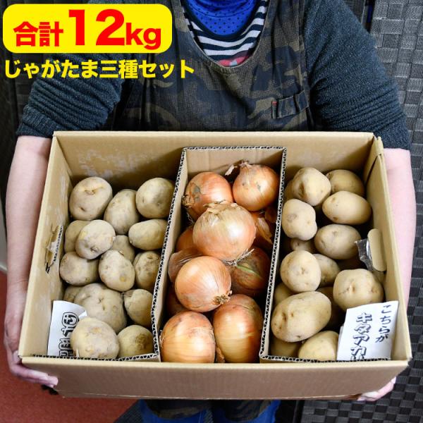 [Release date: October 15, 2026]■名称じゃがいも2種＆玉葱の食べ比べ■内容量男爵いも：4ｋｇ前後きたあかり：4ｋｇ前後玉葱：4ｋｇ前後⇒合計12kg前後（ M〜2Lサイズ）■保存方法湿気のない風通しのよい冷暗...