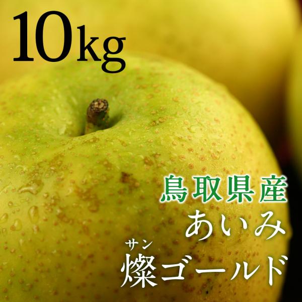 toretatehonpo_am-gold-e toretatehonpo_am-gold-e