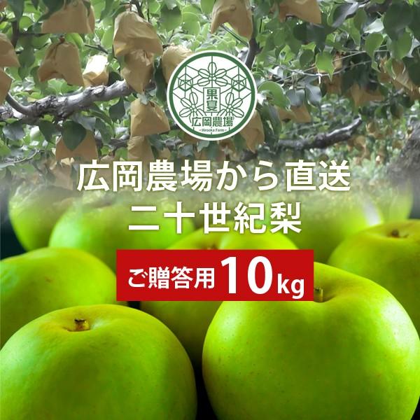 �� �L���_��̓�\���I���i20���I���j10kg�l�i18�`30�ʓ��j ���挧�Y �Ȃ� �������p �ԏG ��������