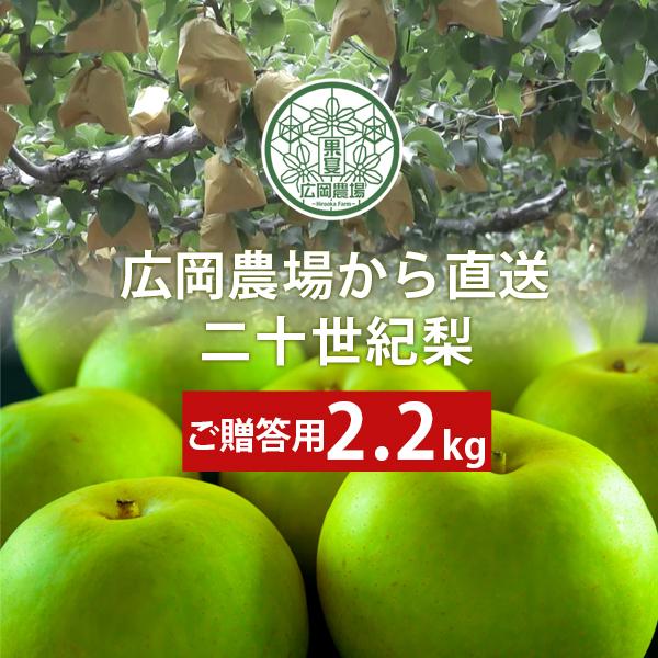 広岡農場の二十世紀梨 20世紀梨 2 5kg詰 6玉前後入 鳥取県産 赤秀 ご贈答用 送料無料 北海道 沖縄を除く Hn 20c Red 2k パーソナルギフト 風味絶佳 山陰 通販 Yahoo ショッピング