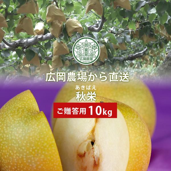�� �L���_��̏H�h�i�����΂��j�� 10kg�l�i24�`36�ʓ��j ���挧�Y �Ȃ� �������p �ԏG ��\���I���ƍK���̊|�����킹 ��������