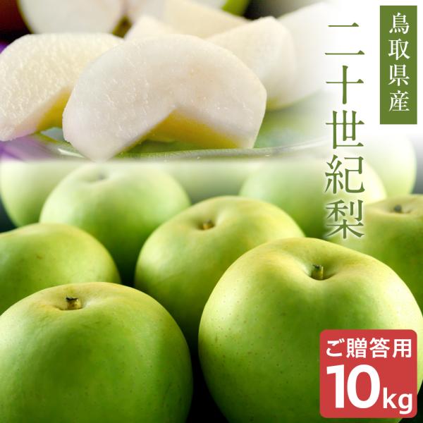 鳥取県産　二十世紀梨10㎏　28玉 二十世紀梨（20世紀梨）10kg詰（28玉前後入） 鳥取県産 なし 赤