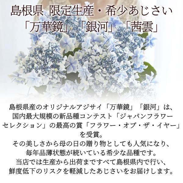 母の日 プレゼント ギフト ランキング 21 花 アジサイ 50代 60代 70代 80代 あじさい鉢植え 選べる3品種 万華鏡 銀河 茜雲 送料無料 Buyee Buyee Japanese Proxy Service Buy From Japan Bot Online