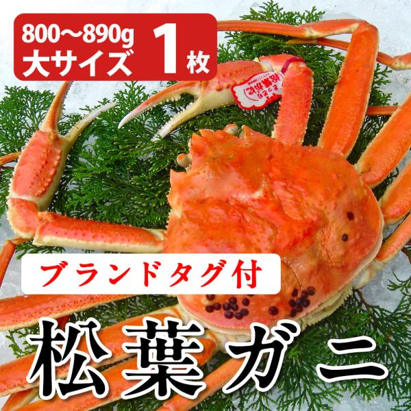 カニ 松葉ガニ 北海道の人気商品・通販・価格比較 - 価格.com カニ 松葉ガニ 北海道の人気商品・通販・価格比較 - 価格.com