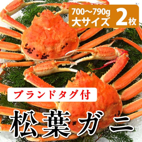 カニ 松葉ガニ 北海道の人気商品・通販・価格比較 - 価格.com カニ 松葉ガニ 北海道の人気商品・通販・価格比較 - 価格.com