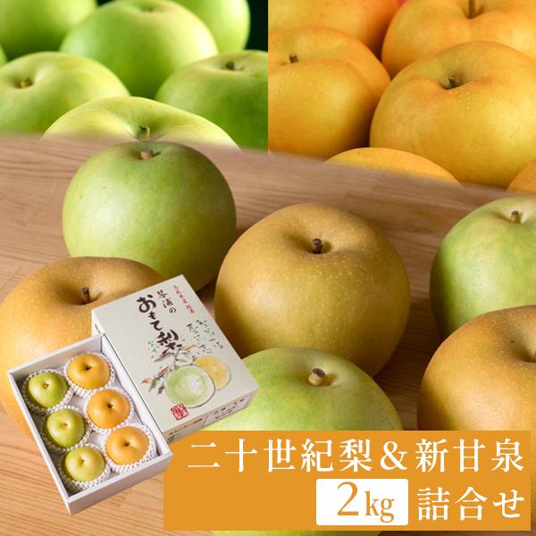 進物　２箱セット　新甘泉 １０キロ 鳥取産 ”新甘泉（しんかんせん）梨” 訳あり 約10kg 大きさ