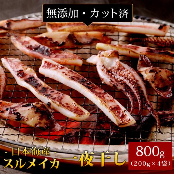 スルメイカ 干物 一夜干し 冷凍 800g（カット済み） 日本海産 ゲソ入り するめいか 国産 無添加 おつまみ 送料無料