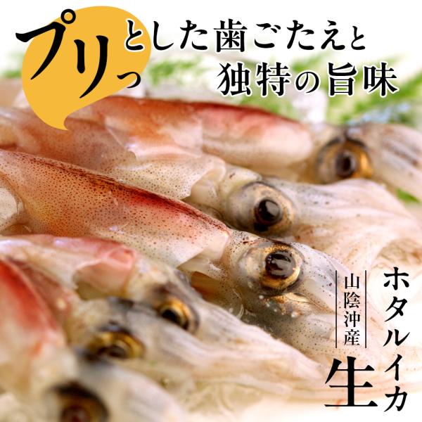 日本海の美味しい味覚、ホタルイカ。プリッとした歯ごたえと、お口の中いっぱいに広がる芳醇な香りは、海産物が豊富な山陰沖ならではの逸品。内蔵は旨味成分のひとつであるアミノ酸がたっぷりで甘味が強く、はらわたごと味わうと特に美味しいと評判です。　