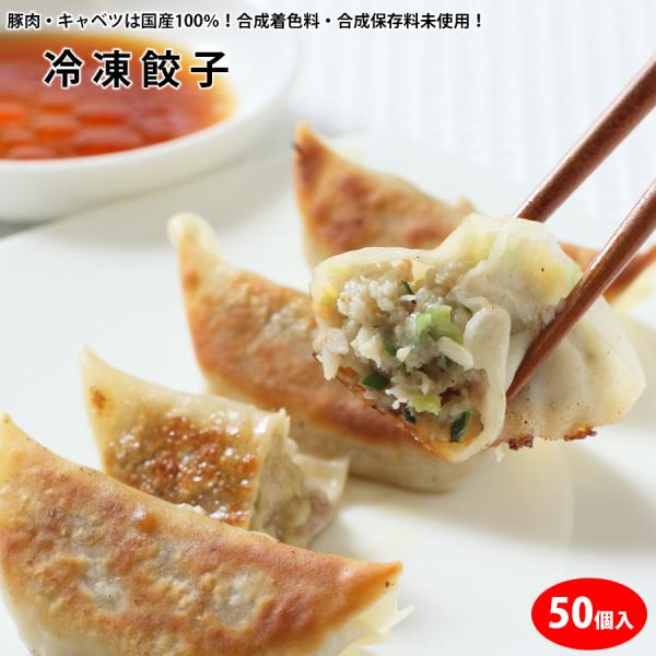 冷凍生餃子（20g×50個入）※包装不可商品　※クール冷凍便