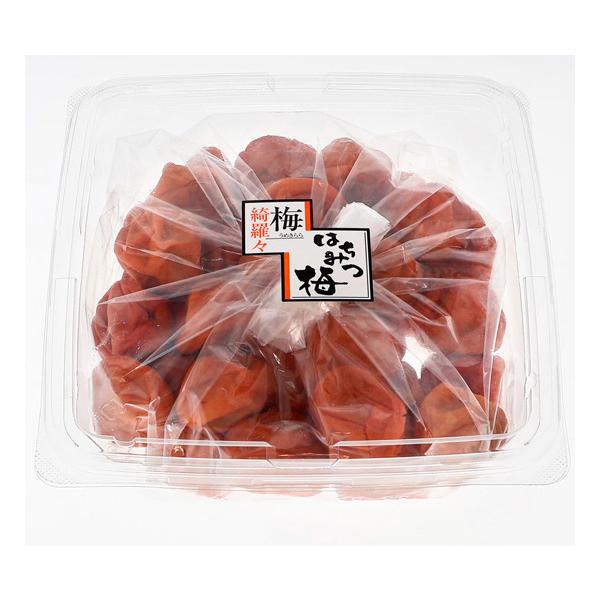紀の里食品　梅きらら　はちみつ梅　くずれ梅（つぶれ梅・ご家庭用）700g（塩分約8％）訳あり　※包装不可商品