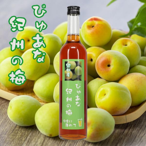 アセロラフーズ　ぴゅあな紀州の梅　500ｍｌ　5倍希釈の梅ドリンク ※箱なし商品 ※包装不可商品