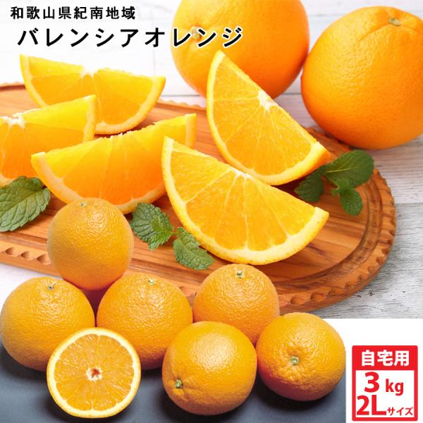 【6月中旬からの発送】みかん屋のバレンシアオレンジ[紀南のバレンシア]（2Lサイズ・約3kg）自宅用　送料無料　※北海道・沖縄県は送料900円
