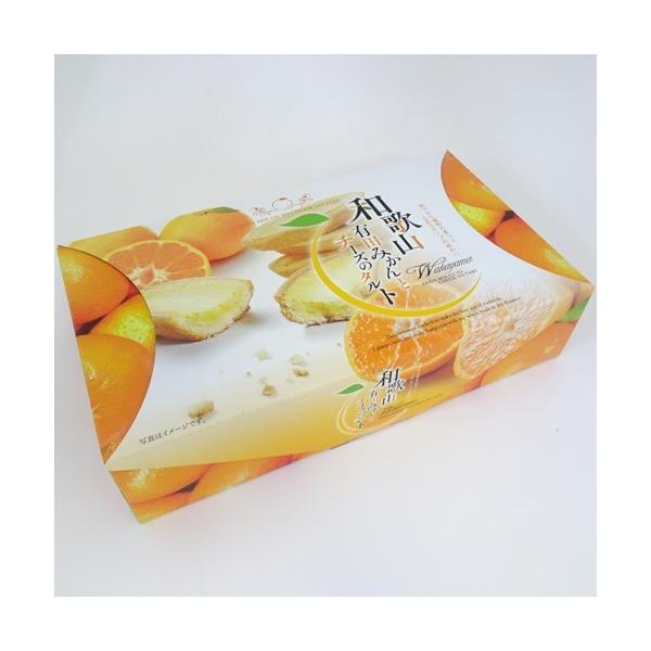 IJULIF@a̎RLc݂ƃ`[Ỹ^gP[L@9@a̎R@yY@َq