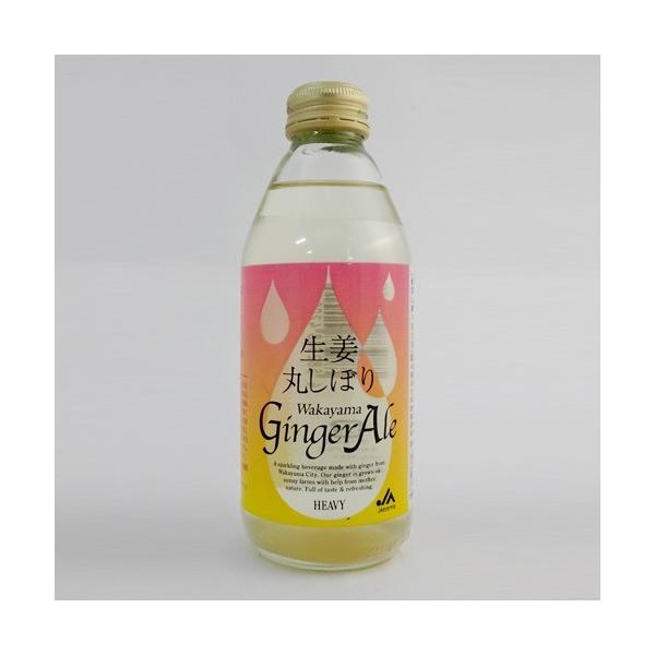 i`킩܁@Iۂڂ@Wakayama Ginger Ale@a̎RWW[G[@250ml@
